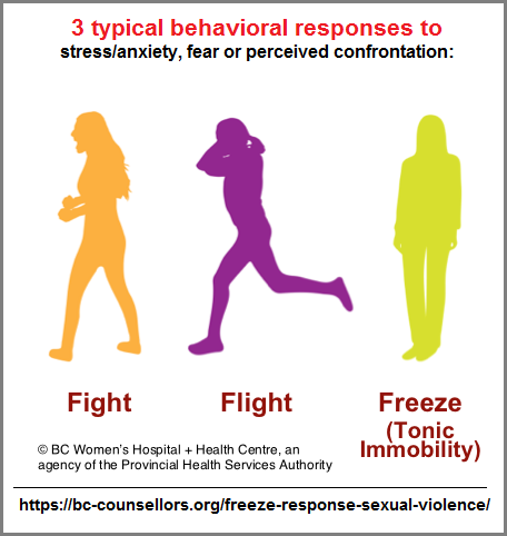 3 typical behavioral responses to stressful situations
