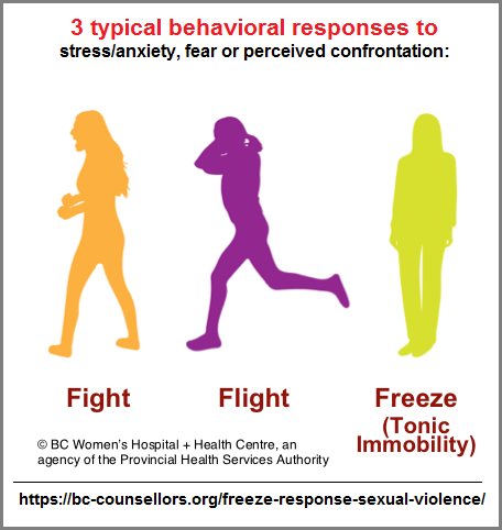 3 typical behavioral responses to stressful situations 3 typical behavioral responses to stressful situations