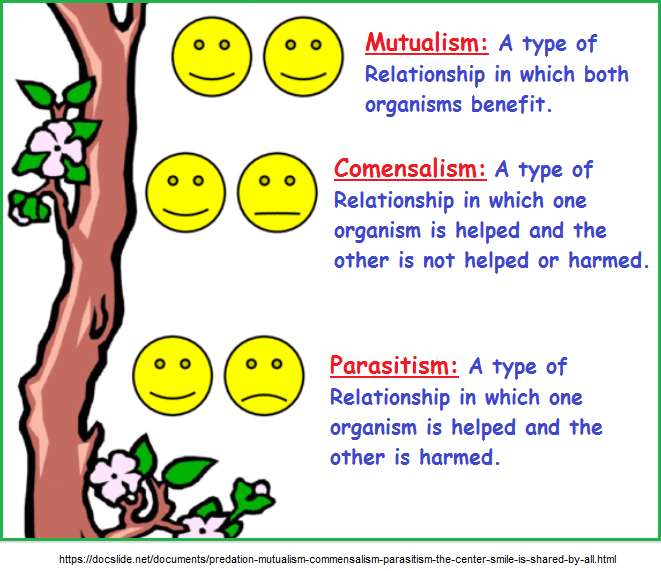 3 Symbiotic types of relationship