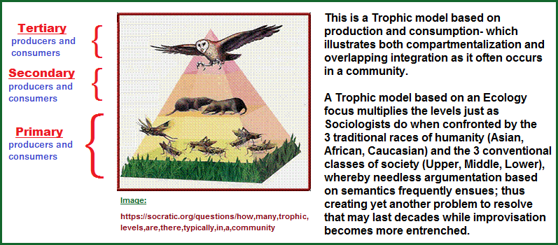 Trophism model based on production and consumption