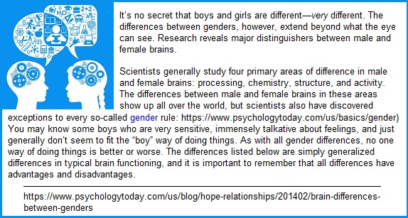 Brain differences between males and females