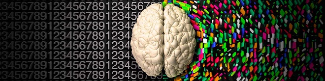 Left and right brain hemispheres Left and right brain hemispheres