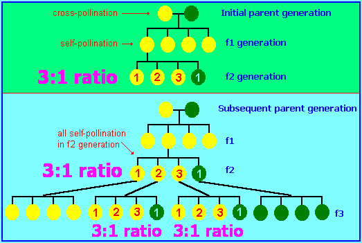 3 -to- 1 ratio example (9K)