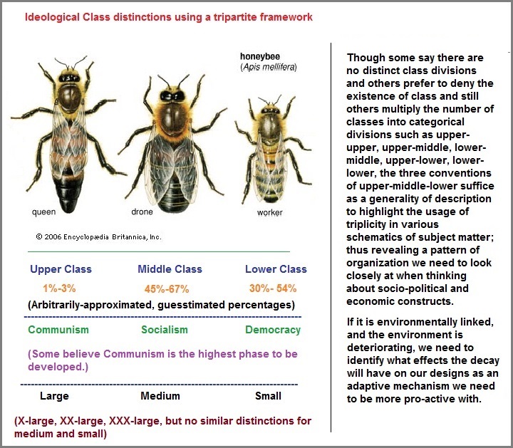 Tripartite distinctions of classification