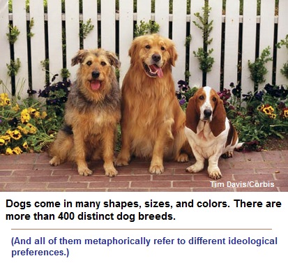 Domesticated dogs retain feral instincts Domesticated dogs retain feral instincts