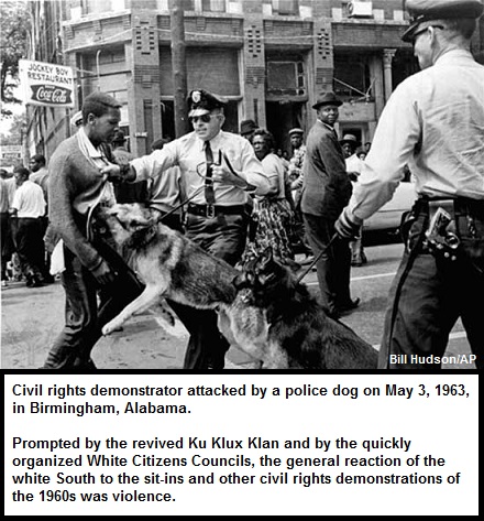 Civil Rights Protestor