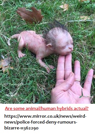 Are some human and animal hybrids an actual fact of life sometimes in some places?