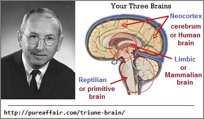 The Triune Brain Theory of Paul D. MacLean