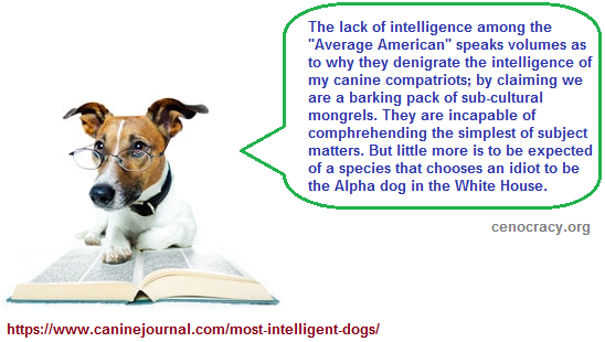 Canine Remarks Canine Remarks