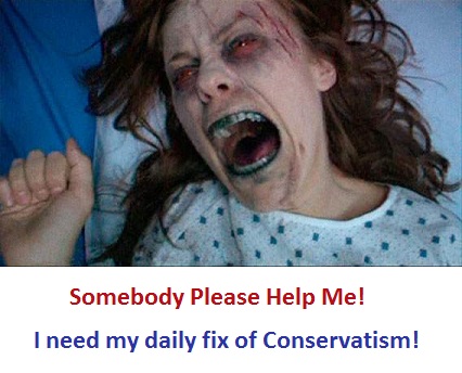 A Conservative's profile image 3