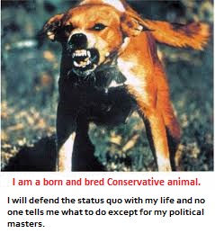 A rabid Conservative image 2