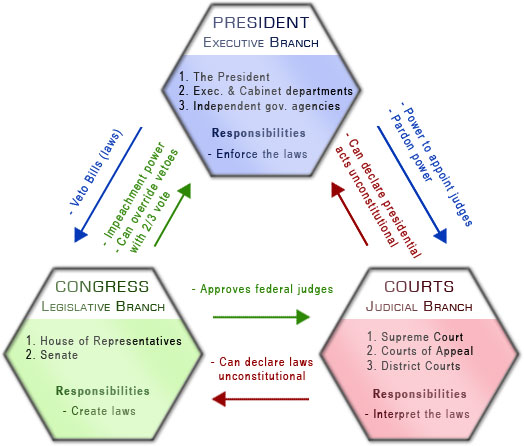 Present Checks-and-Balances government model (49K)
