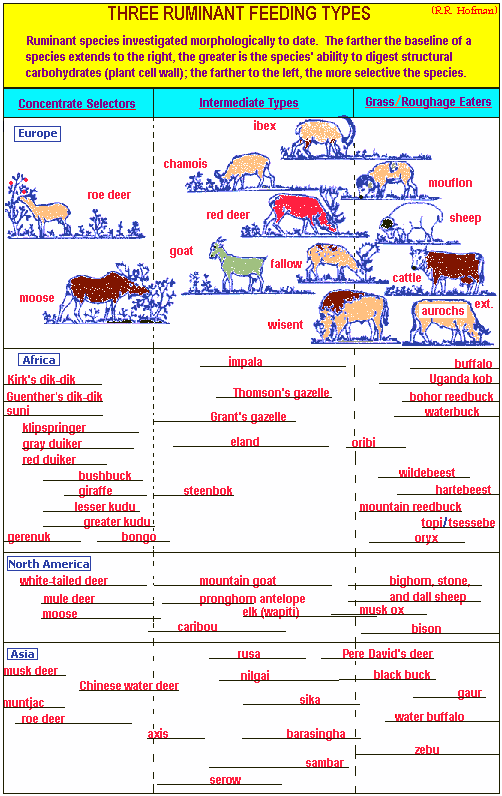 3 animal feeding types (25K)