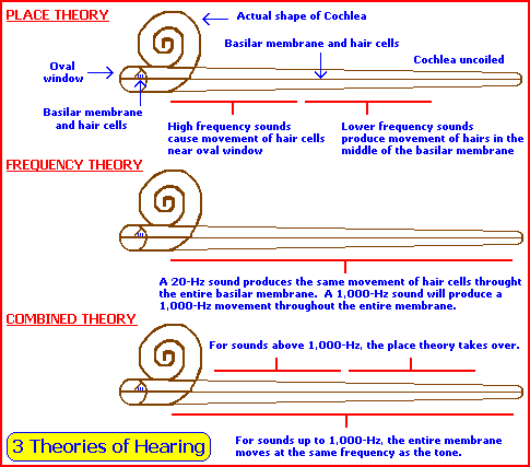 3 theories of hearing