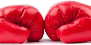 Boxing gloves look like the human brain