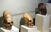 Paracas Skulls (6K)