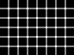 Blinking or non-blinking dots?