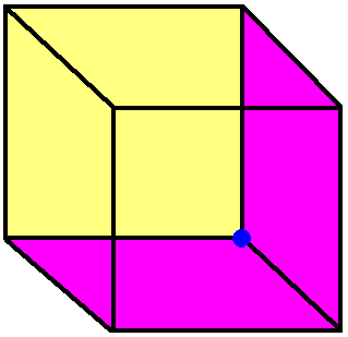 the necker cube 