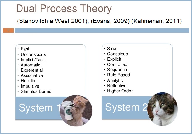 Dual Process Theory (73K)