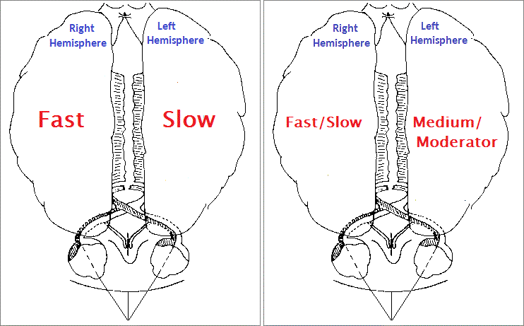 side by side image 2 (18K)