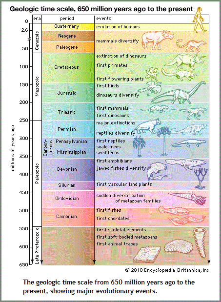 The geologic scale