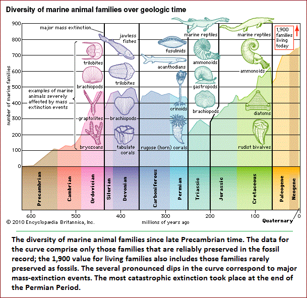 Mass extinction events