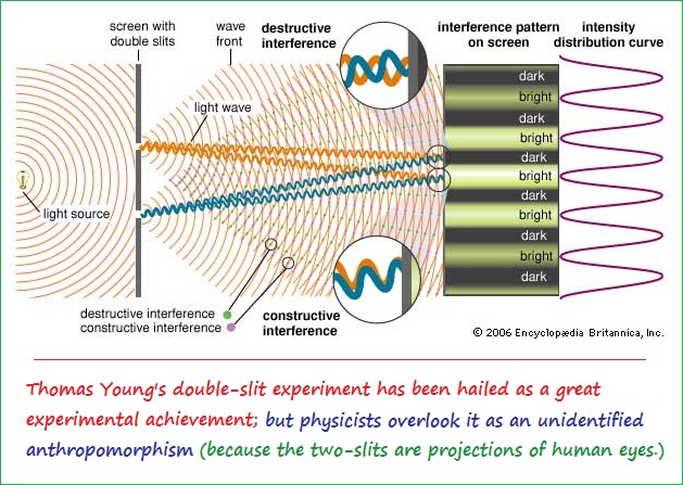 Double slit experiment as an anthropomorhism