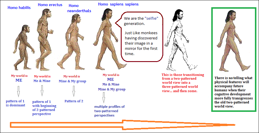 Line-up of human cognitive development