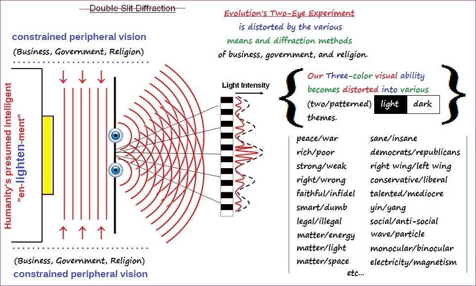 Two-eyed biological diffraction experiment