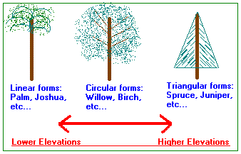 Three basic types of tree geometry