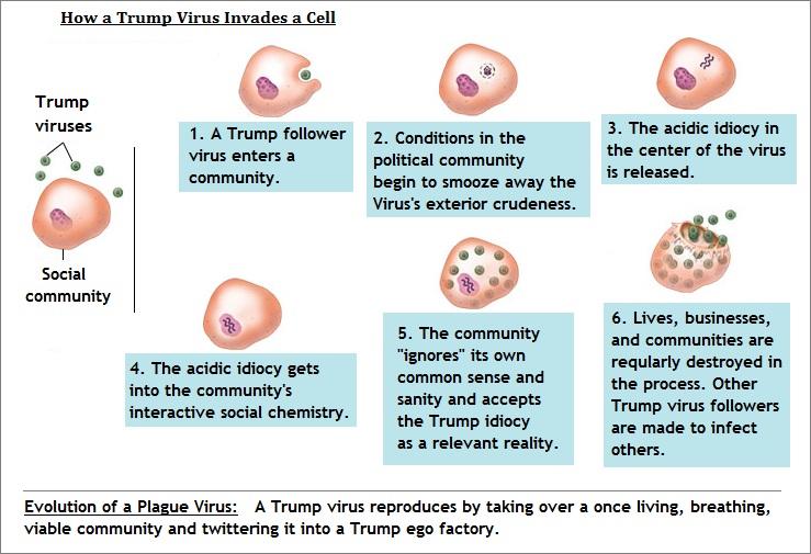 Cycle of a Trump Virus