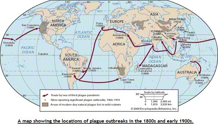 Plague outbreaks of the 1800s and early 1900s