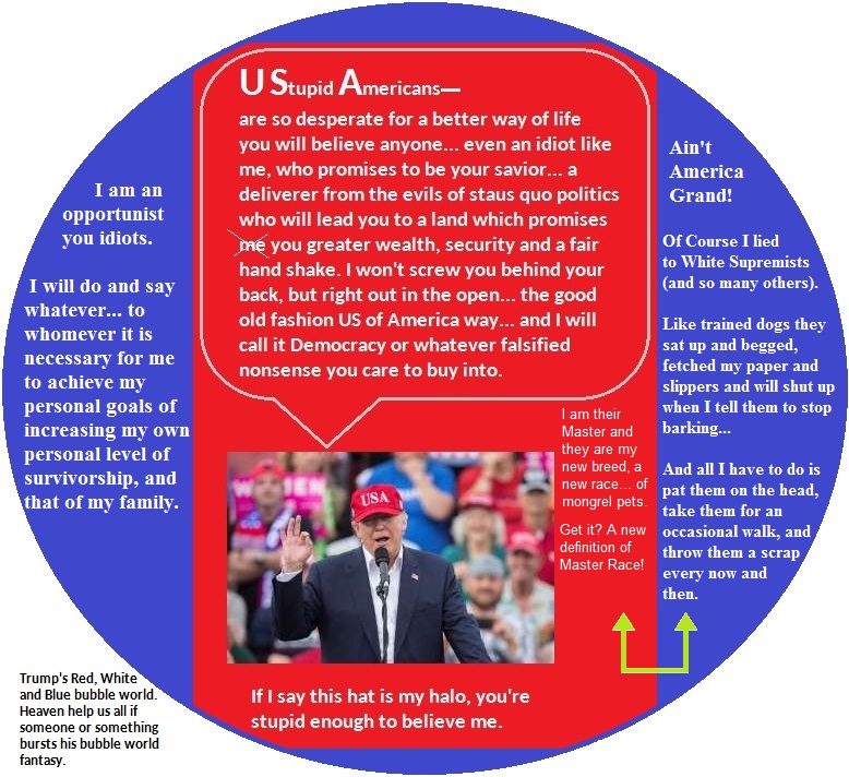 The Bubble World of Trump (148K)